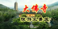 要看当前小日本操逼了中国浙江-新昌大佛寺旅游风景区